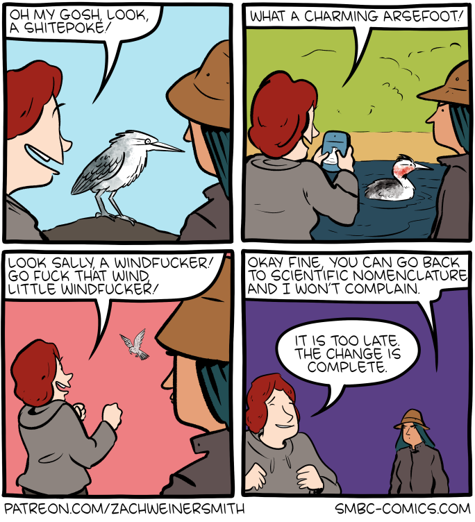 Saturday Morning Breakfast Cereal