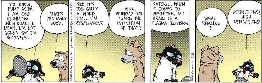 Get Fuzzy