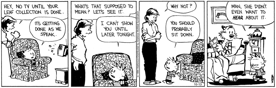 Calvin and Hobbes