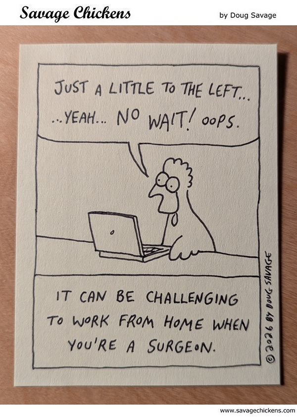 Savage Chickens