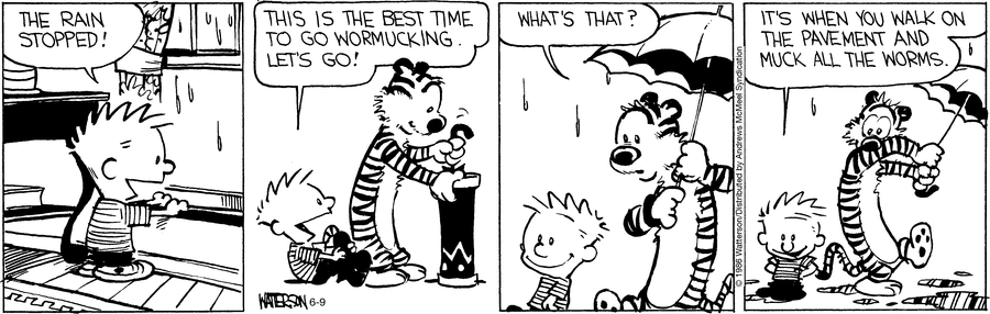Calvin and Hobbes