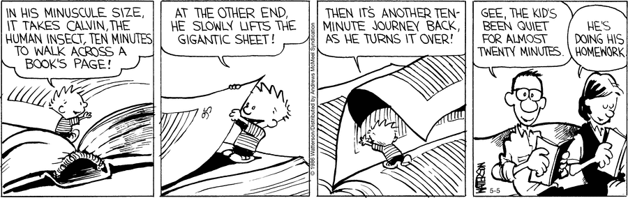 Calvin and Hobbes