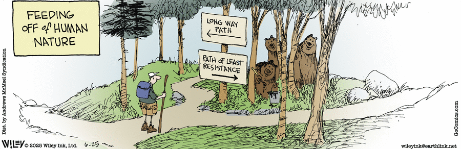 Non Sequitur