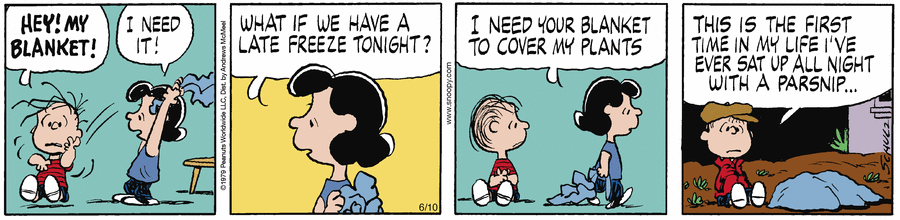 Peanuts